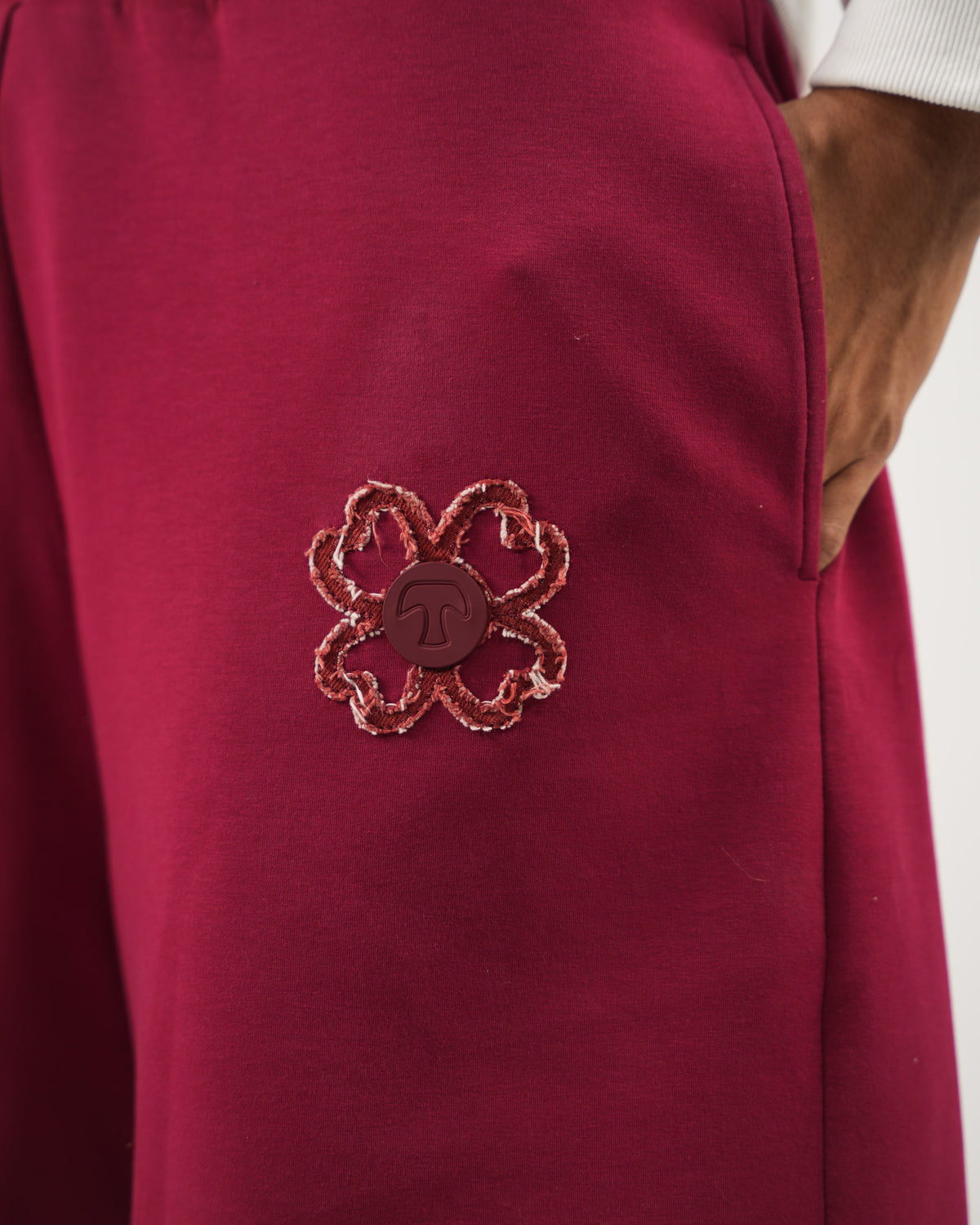 Short Signature — Bordeaux Obscur